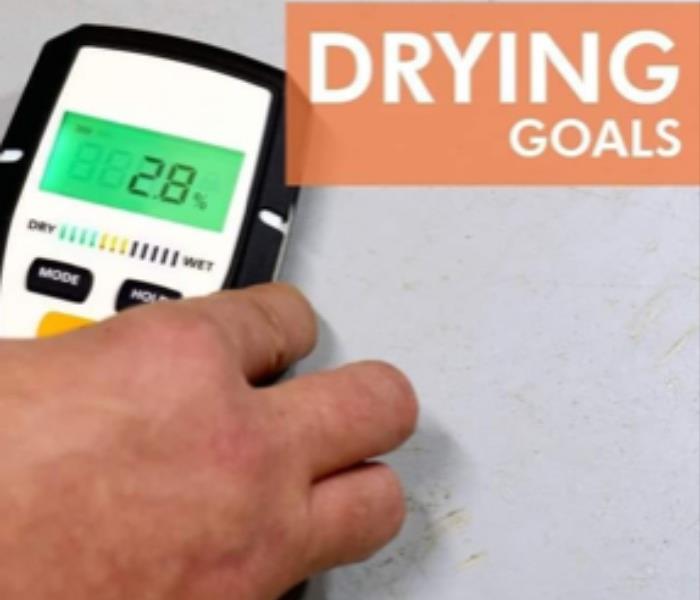 picture of a moisture meter against a gray wall, hand holidng the meter, meter on reading 29, script-"drying goals"