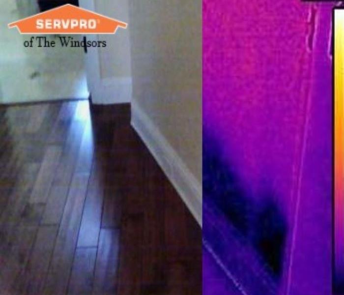 hard wood floors and light beige walls blended with a thermal image of the same floor and wall