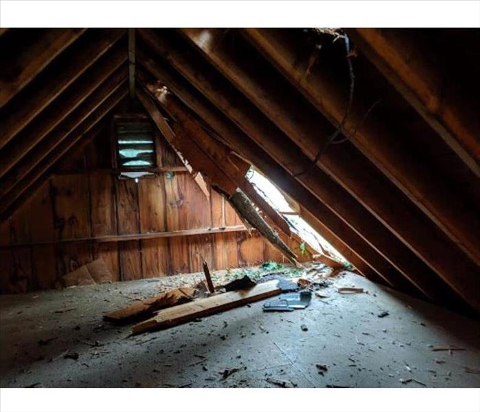 Attic with hanging tree branch breaking through ceiling,roof shingles, and wood from attic framing covering attic floor
