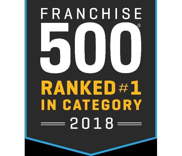 Script -Franchise 500, ranked number one in category, 2018