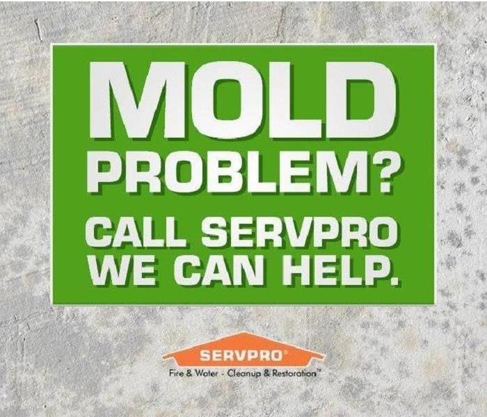Gray and greeen square with text reading Mold Problem? SERVPRO can help, SERVPRO logo